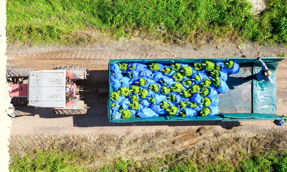 Aerial view of a tractor pulling a trailer loaded with blue bags along a dirt road in a rural field.